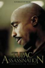 Watch Assassination: Conspiracy or Revenge Freemovieswatch