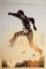 Watch These Birds Walk Freemovieswatch