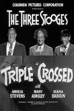 Watch Triple Crossed Freemovieswatch