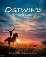 Watch Windstorm: The Great Hurricane Freemovieswatch