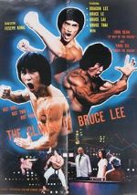 Watch The Clones of Bruce Lee Freemovieswatch