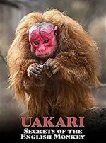 Watch Uakari: Secrets of the English Monkey Freemovieswatch