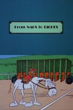 Watch From Nags to Riches Freemovieswatch