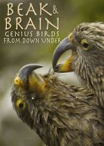 Watch Beak & Brain - Genius Birds from Down Under Freemovieswatch