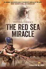Watch Patterns of Evidence: The Red Sea Miracle Freemovieswatch