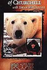 Watch The Polar Bears of Churchill with Ewan McGregor Freemovieswatch