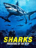 Watch Sharks: Predators of the Deep Freemovieswatch