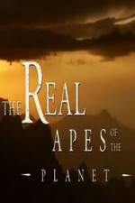Watch The Real Apes of the Planet Freemovieswatch