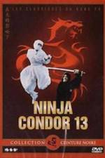Watch Ninjas Condors 13 Freemovieswatch