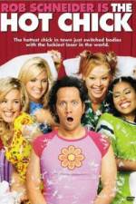 Watch The Hot Chick Freemovieswatch