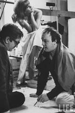 Watch The Man Who Shot the 60s Freemovieswatch