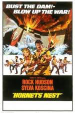 Watch Hornets' Nest Freemovieswatch