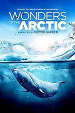 Watch Wonders of the Arctic 3D Freemovieswatch