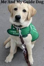 Watch Me And My Guide Dog Freemovieswatch