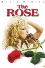 Watch The Rose Freemovieswatch