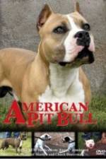 Watch American Pit Bull Freemovieswatch