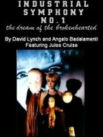 Watch Industrial Symphony No. 1: The Dream of the Brokenhearted Freemovieswatch