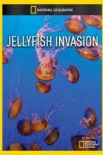 Watch National Geographic: Wild Jellyfish invasion Freemovieswatch