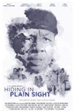 Watch Hiding in Plain Sight Freemovieswatch
