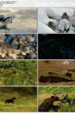Watch National Geographic: Japans Hidden Secrets Freemovieswatch