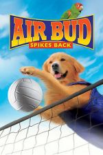 Watch Air Bud: Spikes Back Freemovieswatch