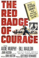 Watch The Red Badge of Courage Freemovieswatch