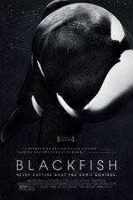 Watch Blackfish Freemovieswatch