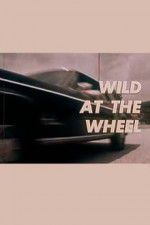 Watch Wild at the Wheel Freemovieswatch