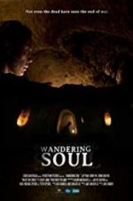 Watch Wandering Soul Freemovieswatch