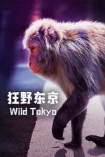Watch Wild Tokyo (TV Special 2020) Freemovieswatch