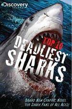 Watch National Geographic Worlds Deadliest Sharks Freemovieswatch