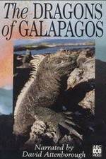 Watch The Dragons of Galapagos Freemovieswatch
