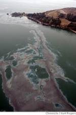Watch National Geographic: Gulf Coast Disaster Freemovieswatch