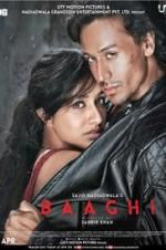 Watch Baaghi Freemovieswatch