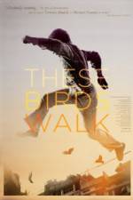 Watch These Birds Walk Freemovieswatch