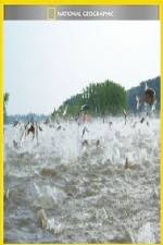 Watch National Geographic Hooked Carp Invasion Freemovieswatch