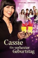 Watch The Good Witch\'s Destiny Freemovieswatch