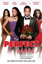 Watch The Perfect Man Freemovieswatch
