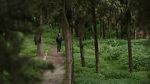 Watch My Tree Freemovieswatch