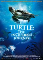 Watch Turtle: The Incredible Journey Freemovieswatch