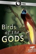 Watch Birds Of The Gods Freemovieswatch