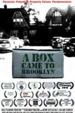 Watch A Box Came to Brooklyn Freemovieswatch