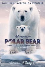 Watch Polar Bear Freemovieswatch