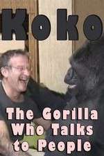 Watch Koko: The Gorilla Who Talks to People Freemovieswatch