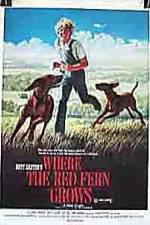 Watch Where the Red Fern Grows Freemovieswatch