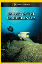 Watch National Geographic Jewels of the Caribbean Sea Freemovieswatch