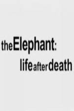 Watch The Elephant - Life After Death Freemovieswatch