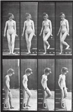 Watch Woman Walking Downstairs Freemovieswatch