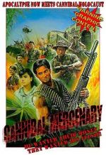Watch The Mercenary Freemovieswatch