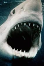 Watch Sharkmania: The Top 15 Biggest Baddest Bloodiest Bites Freemovieswatch